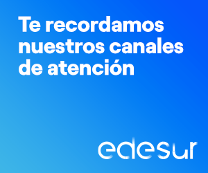 diariosur_300x250.gif
