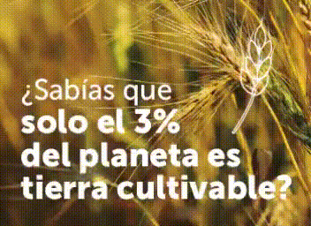 Profertil.gif