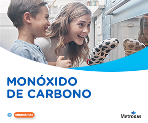 Monoxido_de_carbono_300x250.jpg