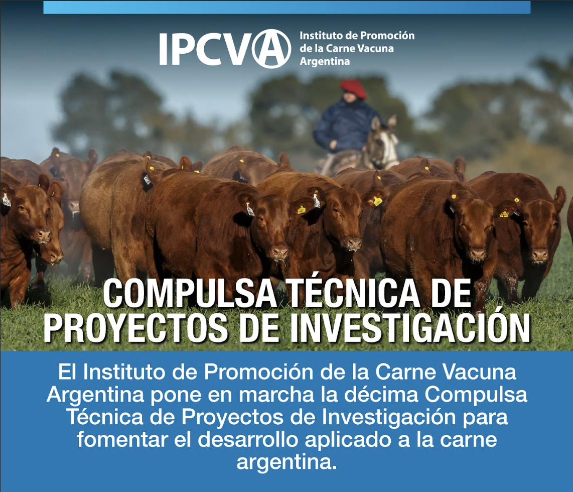 Captura-de-pantalla-2025-06-26-a-las-19.26.48.png